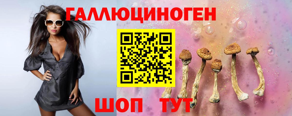 Псилоцибиновые грибы мухоморы Иваново